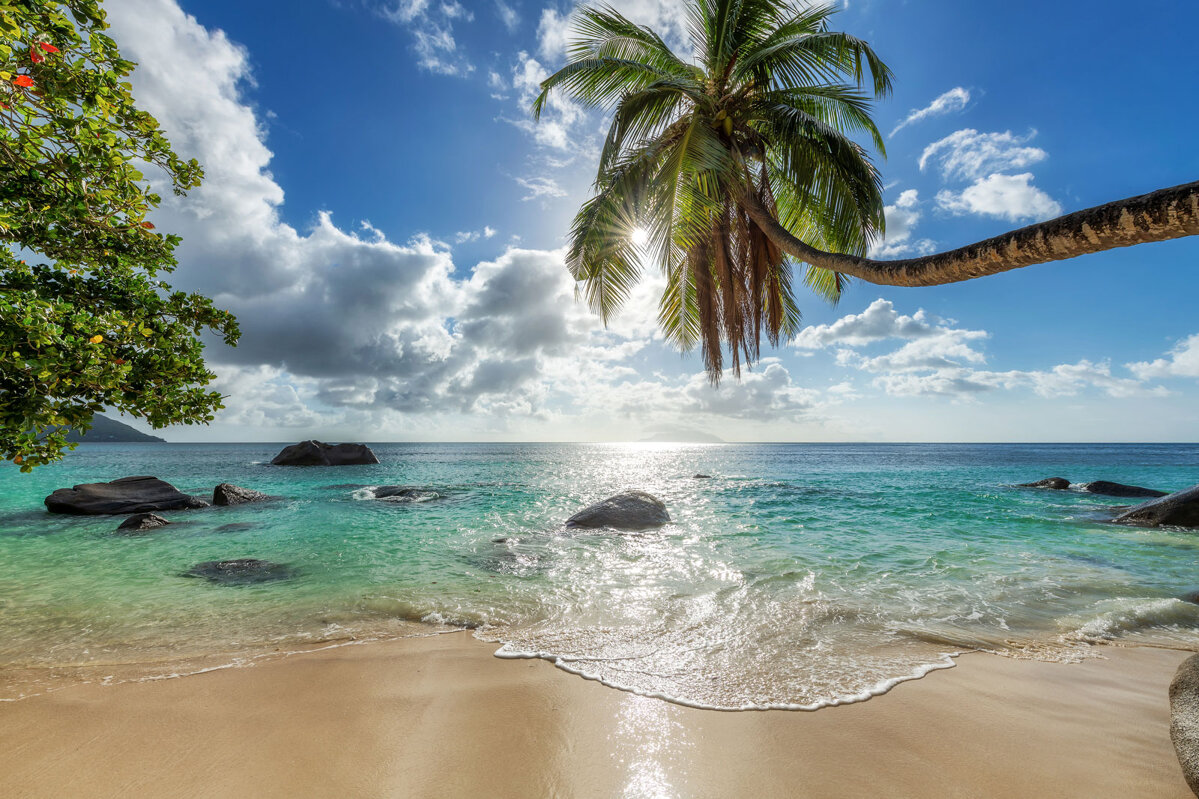 Karibisches Paradies erleben: AIDA Kreuzfahrten unter Palmen