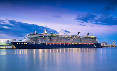 Celebrity Reflection
